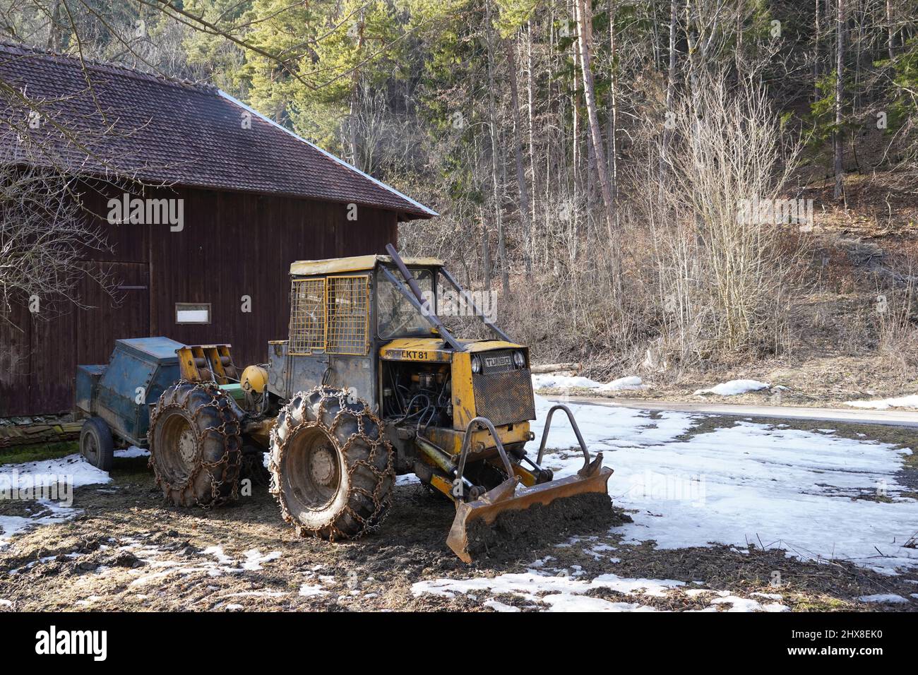 Alte gelbe Waldradschlepper LKT 81 mit Schneeketten auf allen Rädern Parken auf der schlammigen Straße vor dem Holzhaus. Stockfoto