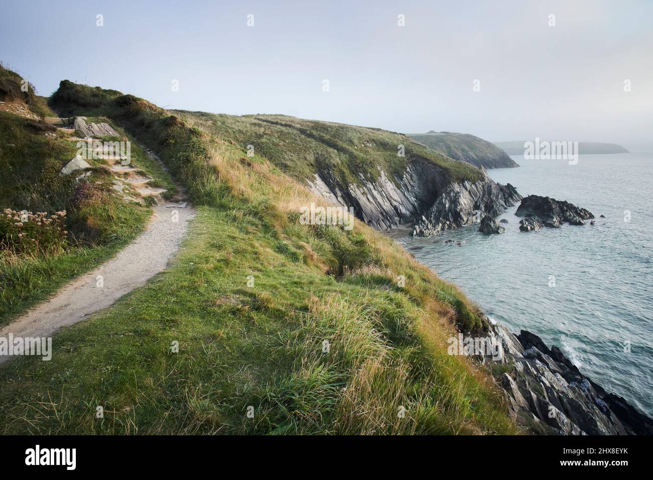Blick vom Pembrokeshire Coast Path, in der Nähe von Whitesands Bay, St David's, Pembrokeshire, Wales, VEREINIGTES KÖNIGREICH Stockfoto