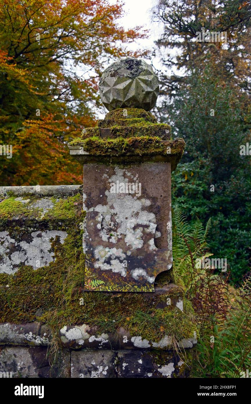 Puzzleteil 9, Buchenspaziergang von Anne Gilchrist. Dawyck Botanic Garden, Stobo, Scottish Borders, Schottland, Vereinigtes Königreich, Europa. Stockfoto