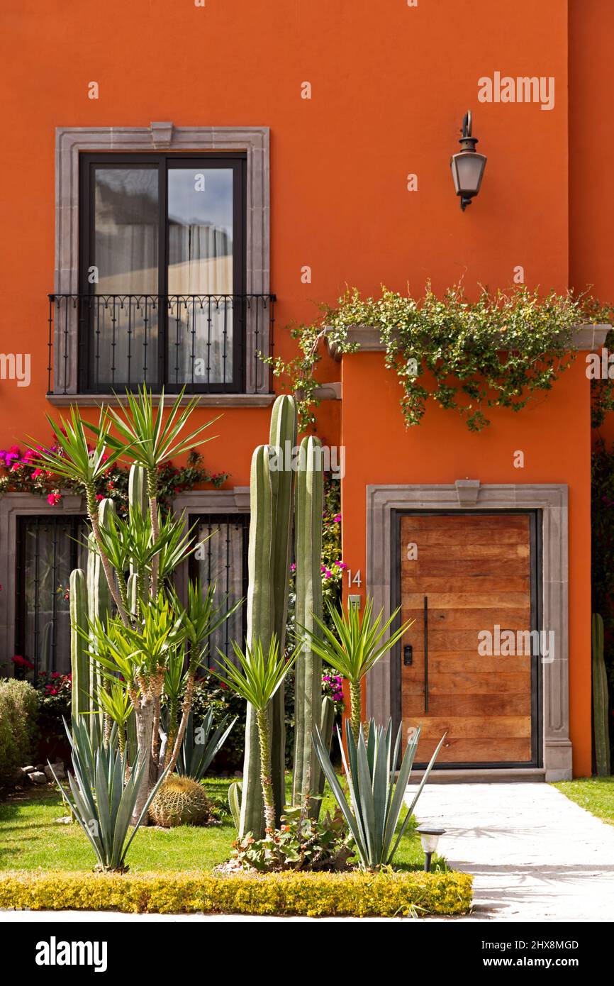Mexiko, Guanajuato, San Miguel de Allende, ein Vorgarten, der mit Kakteen und anderen Wüstenpflanzen bepflanzt ist Stockfoto