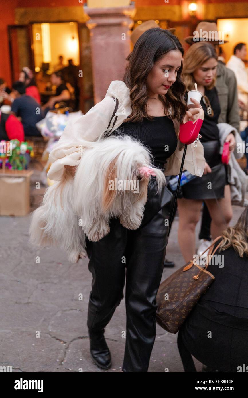 Mexiko, Guanajuato State, San Miguel de Allende, eine stilvolle Frau mit ihrem Hund. Stockfoto