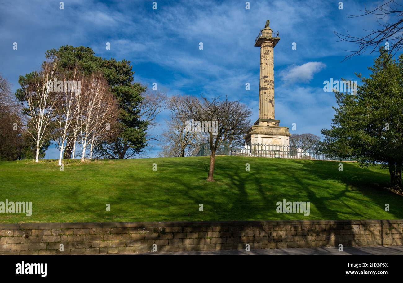 The Tenantry Column, Alnwick, Nordostengland, Großbritannien Stockfoto