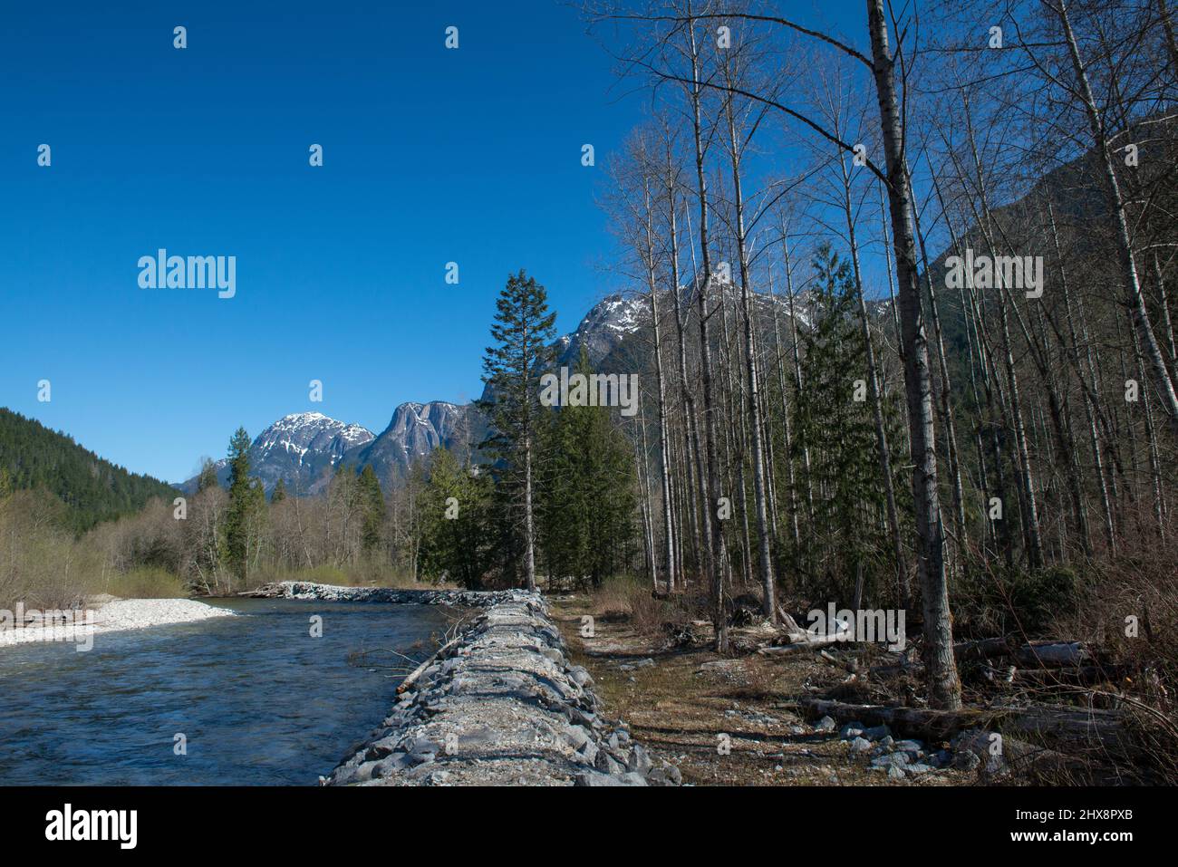 Fußpfad umgeben von Bäumen und Bergen entlang des Skagit-Flusses in British Columbia, Kanada. Stockfoto