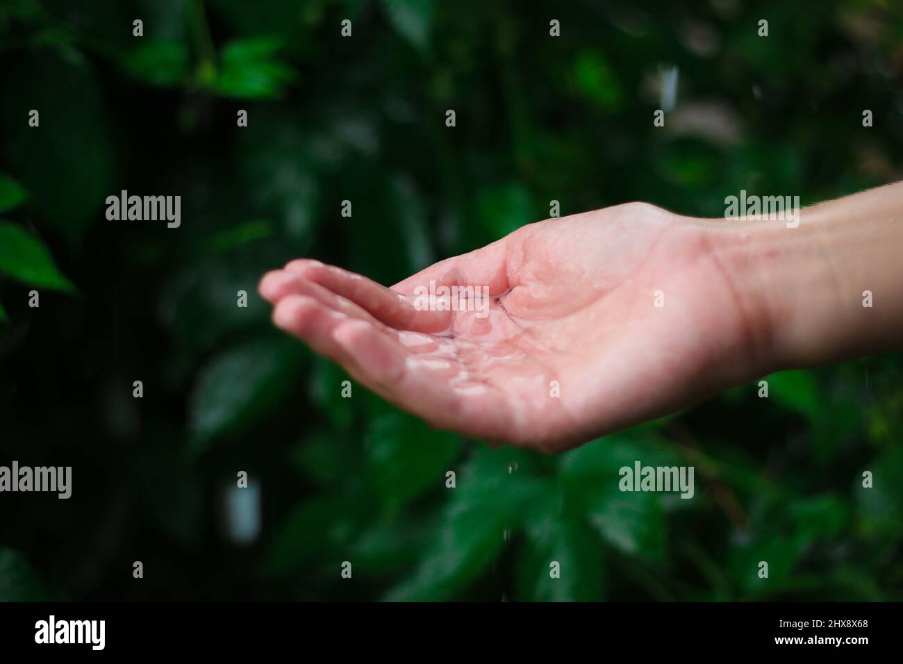Hand eines dreizehn Jahre alten Jungen, der bei Regen Regentropfen fängt Stockfoto