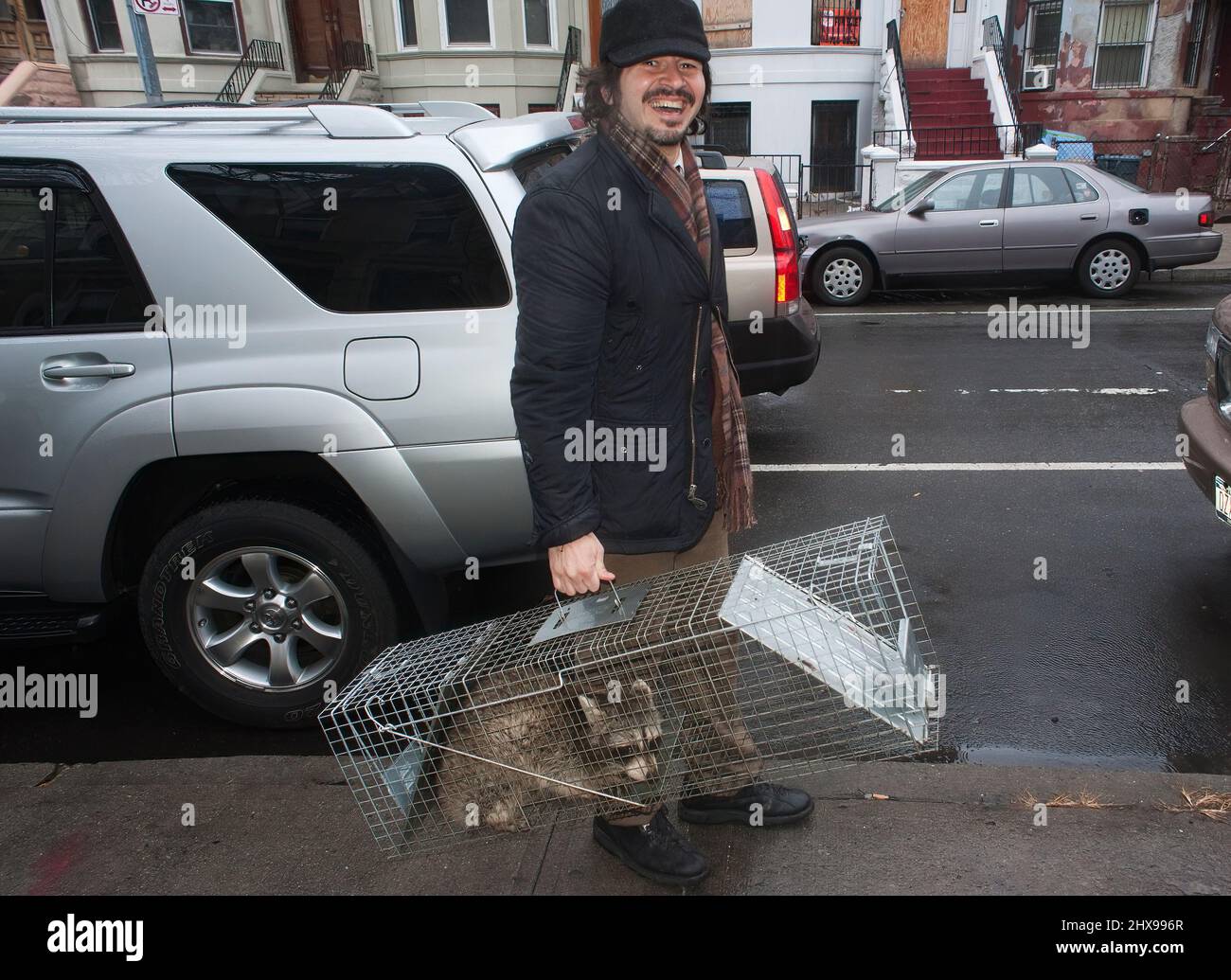 Mann in Brooklyn, New York, mit gefangenem Waschbär im Käfig Stockfoto