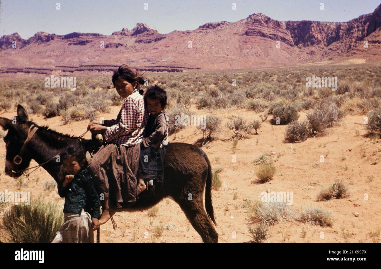 Ein Navajo-Junge und -Mädchen auf einem Burro Ca. 1954-1959 Stockfoto