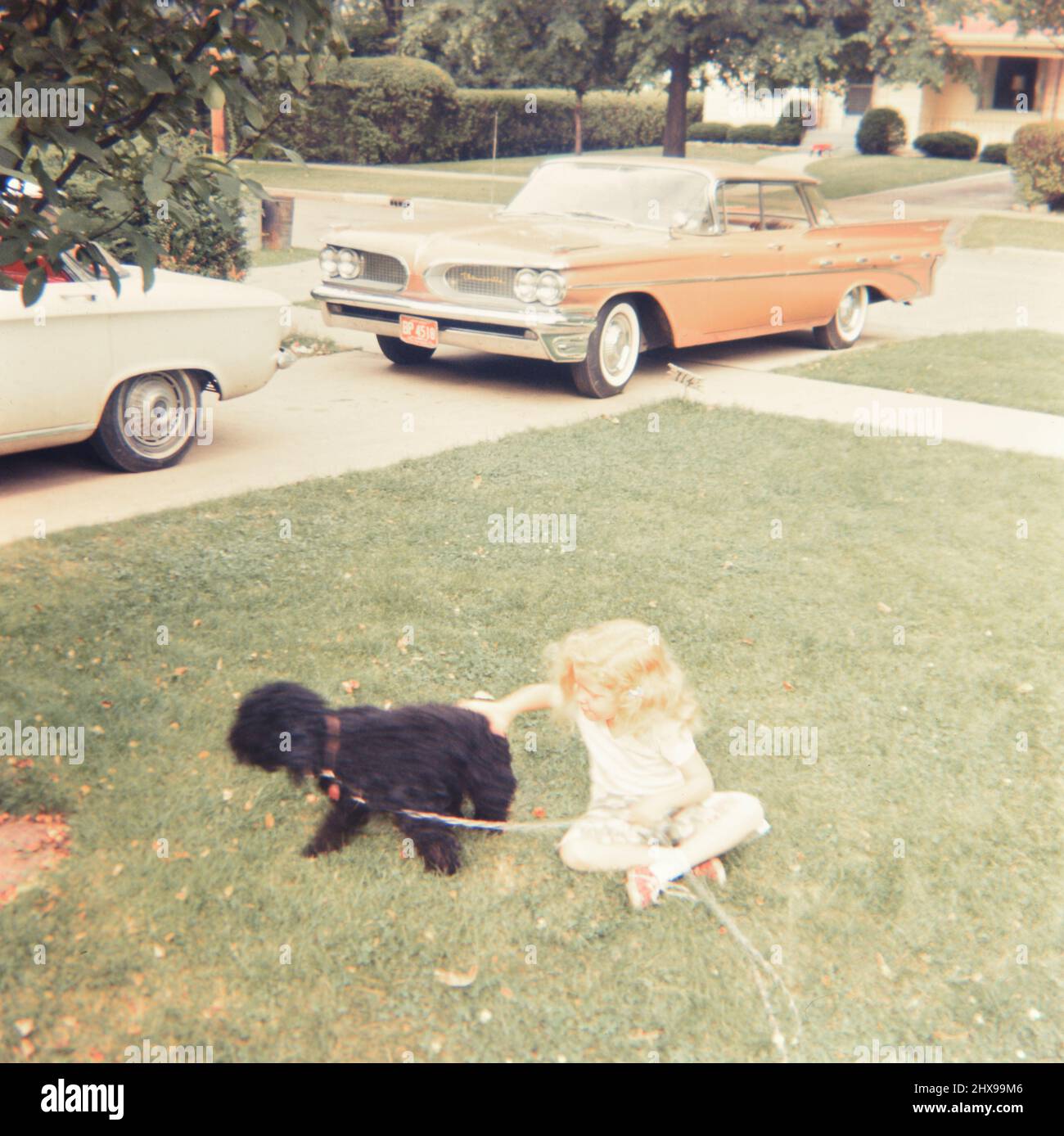 Junges Mädchen streicheln einen schwarzen Hund, während sie auf ihrem Vorgarten sitzt, Autos in der Auffahrt ca. Ende 1950s oder Anfang 1960s Stockfoto