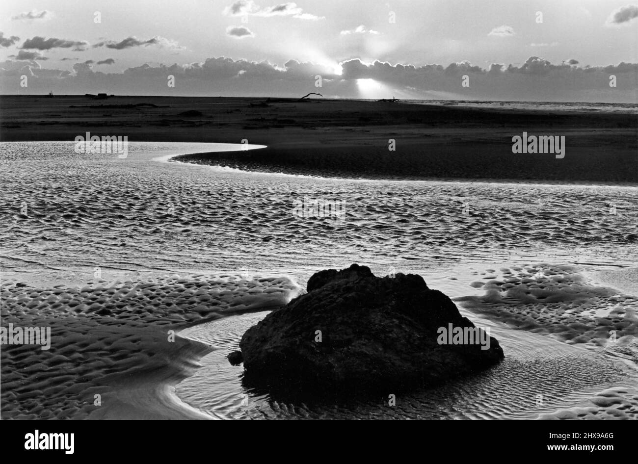 Strand in Nordkalifornien, wo der russische Fluss auf den Pazifischen Ozean bei Jenner trifft. Stockfoto