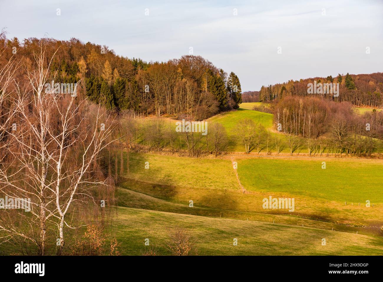 Graslandschaft und hügelige Landschaft mit Bäumen und Wald im Odenwald in Hessen Stockfoto