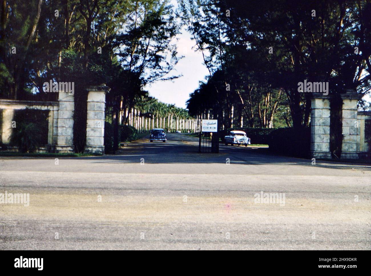 Autos, die eine Straße entlang fahren (möglicherweise in einem Park) in Hialeah Florida 1950s Stockfoto