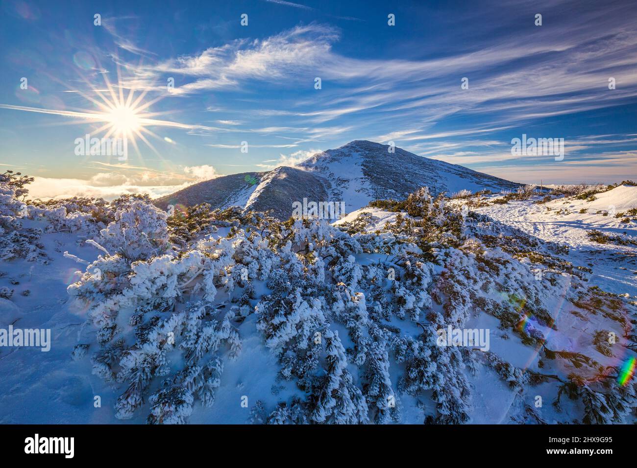 Winter-Berglandschaft mit verschneiten Gestrüpp im Vordergrund an einem sonnigen Tag. Der Nationalpark Mala Fatra in der Slowakei, Europa. Stockfoto