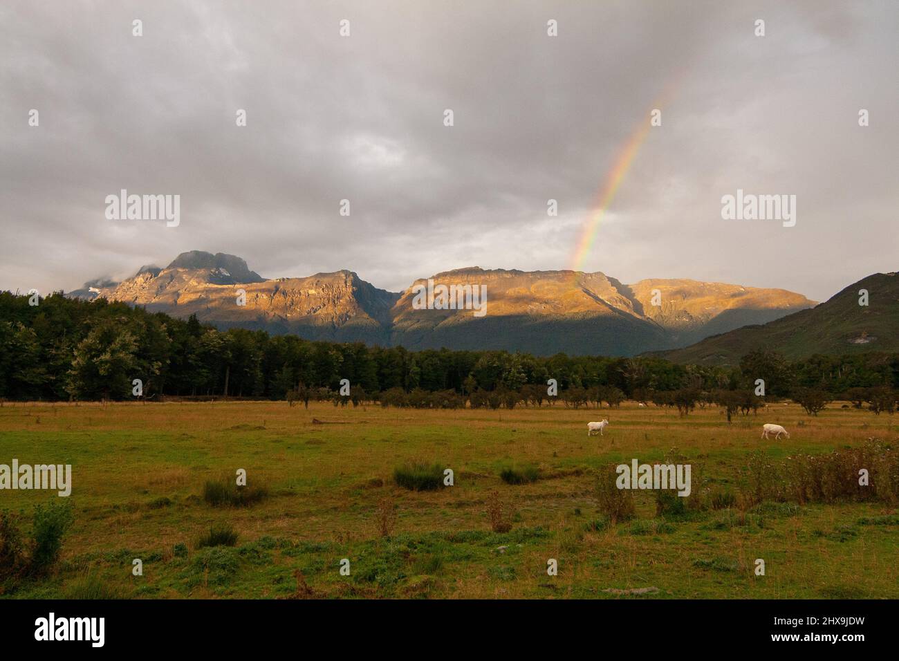 Neuseeländische Landschaft mit Regenbogen und goldener Sonne nach Regen über Forbes Mountains Range, Mount Earnslaw und Weiden davor, NZ DOC Sylvan Campgrou Stockfoto