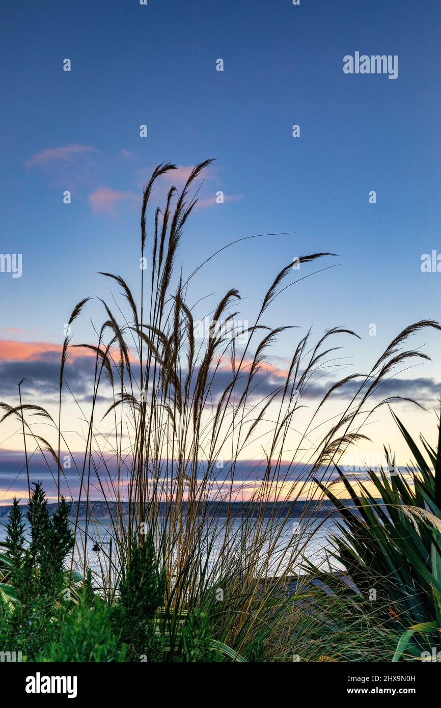 Filey ist eine Küstenstadt in North Yorkshire, England. Stockfoto