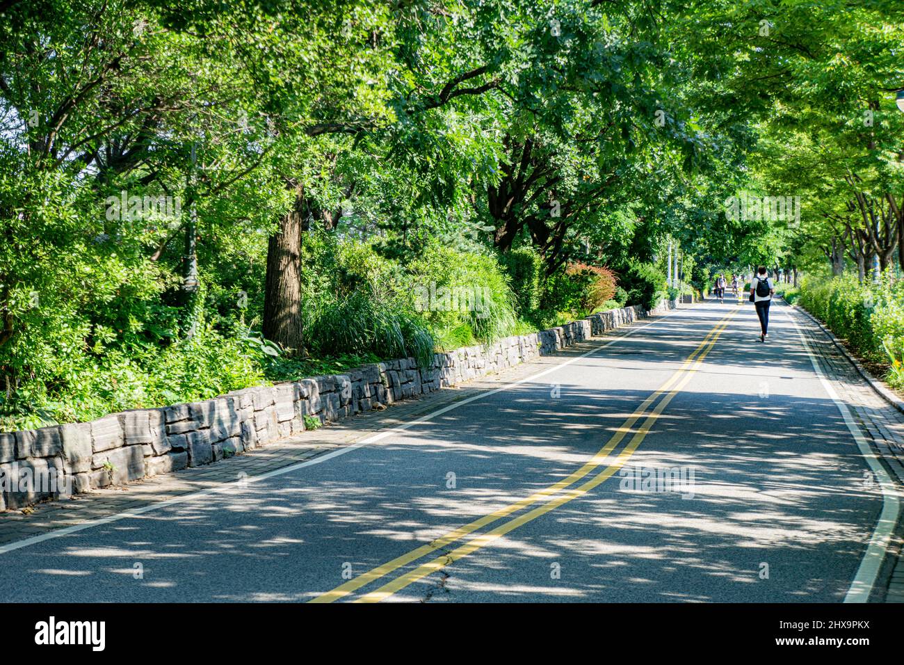West Side Fahrrad- und Joggingstrecken, New York City, New York, USA Stockfoto