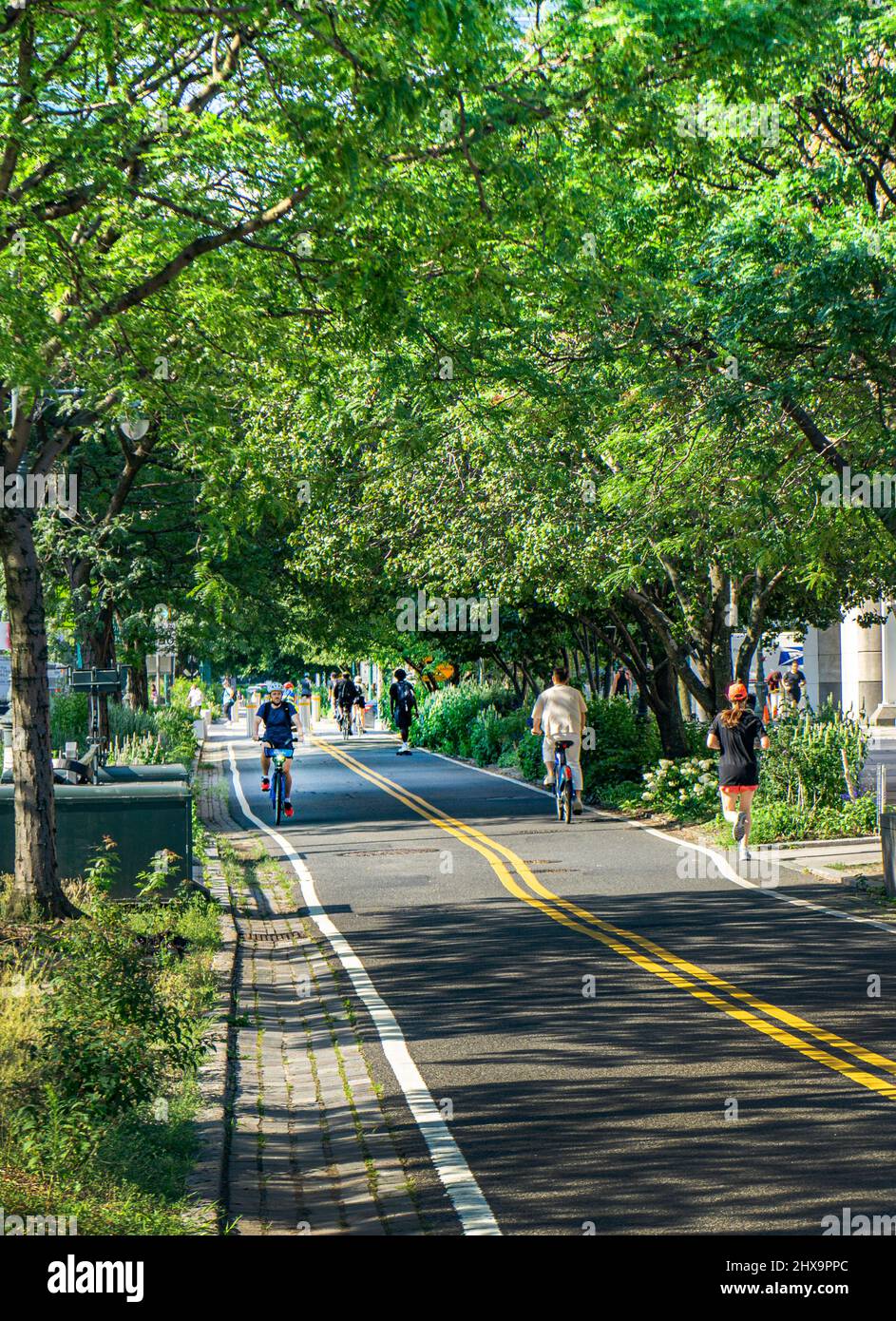 West Side Bicycle Lanes, New York City, New York, USA Stockfoto