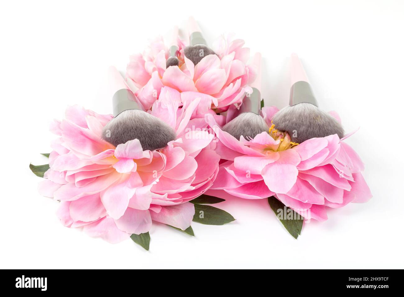 Verschiedene Make-up Pinsel mit rosa Pfingstrosen Blumen auf weißem Hintergrund. Professionelles Make-up Set. Accessoires für Schönheit. Stockfoto