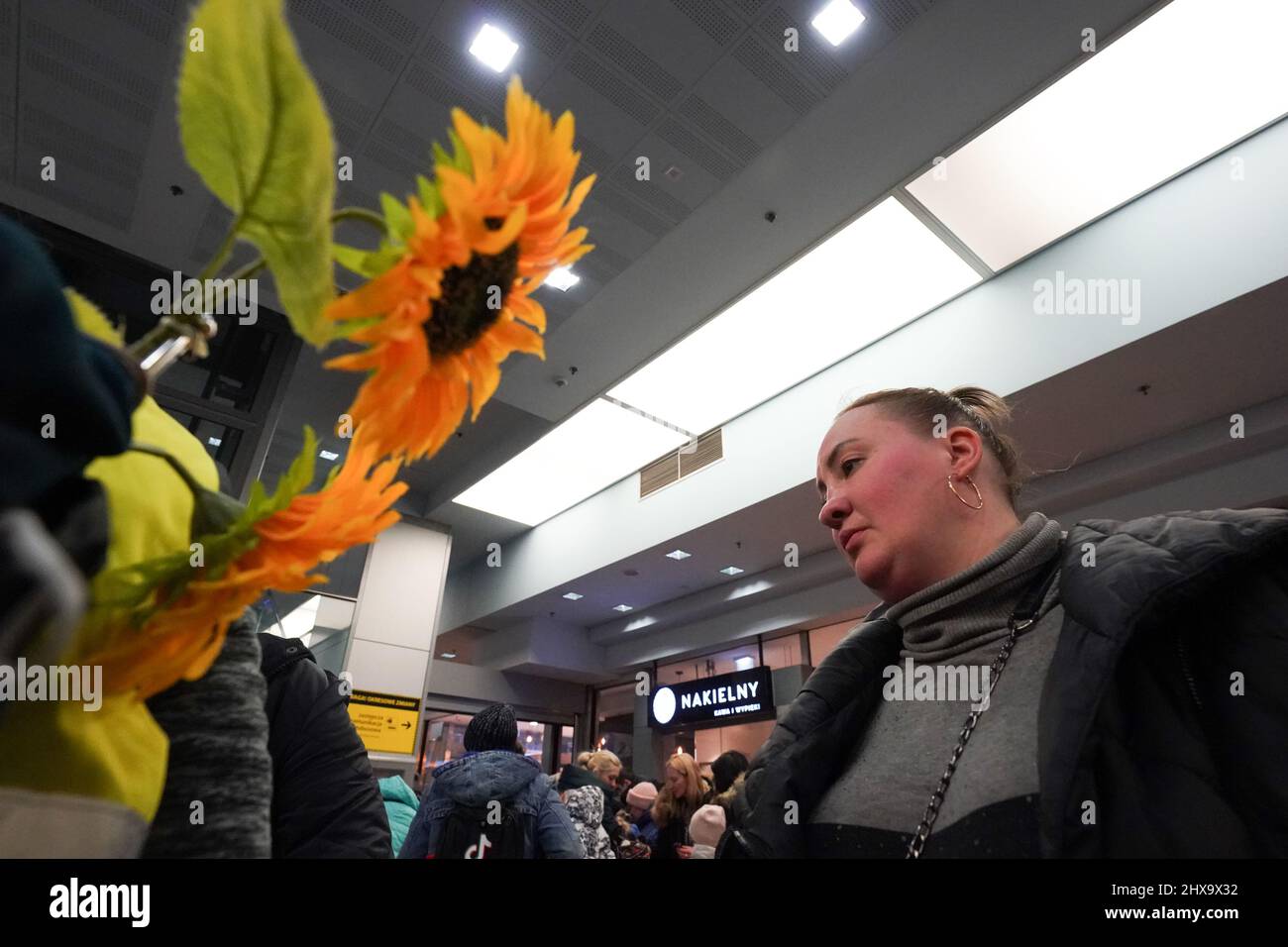 Krakau, Polen. 10. März 2022. Ein Freiwilliger mit Sonnenblumen, als ukrainische Flüchtlingsfamilien in einer Halle warten, nachdem sie am Hauptbahnhof in Krakau angekommen sind, da bereits am 10. März 2022 mehr als Millionen Menschen aus der Ukraine nach Polen geflohen sind. Während die Russische Föderation in die Ukraine einmarschierte, wird der Konflikt zwischen der Ukraine und Russland voraussichtlich bis zu 5 Millionen Ukrainer zur Flucht zwingen. (Bild: © Bryan Smith/ZUMA Press Wire) Bild: ZUMA Press, Inc./Alamy Live News Stockfoto