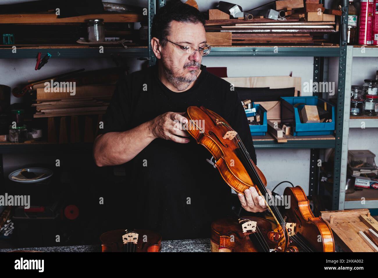 Geigenbauer untersucht den Klang einer lackierten Geige Stockfoto