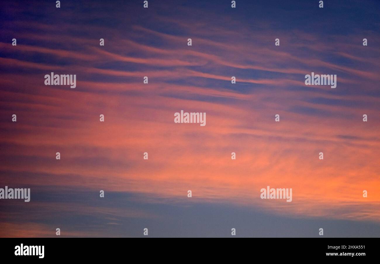 Pink - orangefarbene Wolkenrollen am Himmel bei Sonnenuntergang über den kanadischen Prärien, Alberta, Kanada Stockfoto