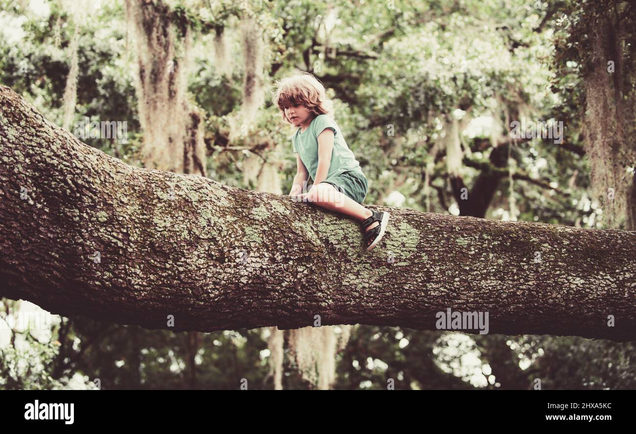 AUF EINEN EINEM BAUM KLETTERN visual data 6