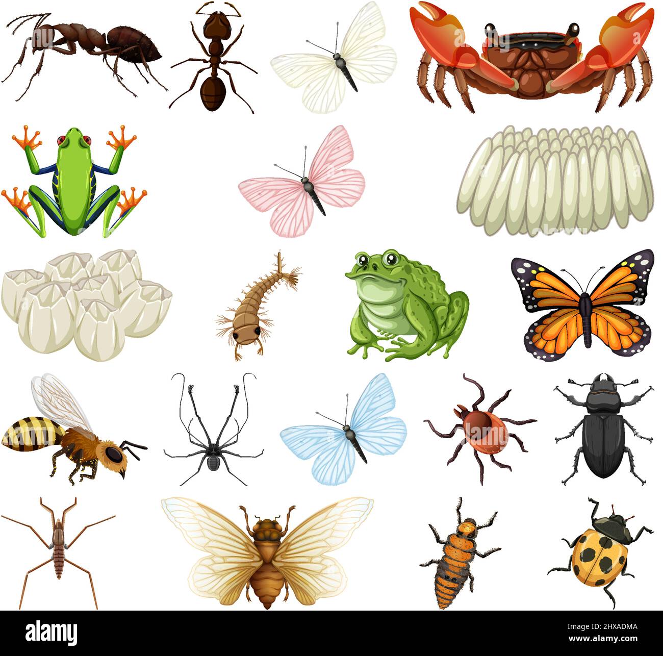 Verschiedene Arten von Insekten und Tieren auf weißem Hintergrund Illustration Stock Vektor