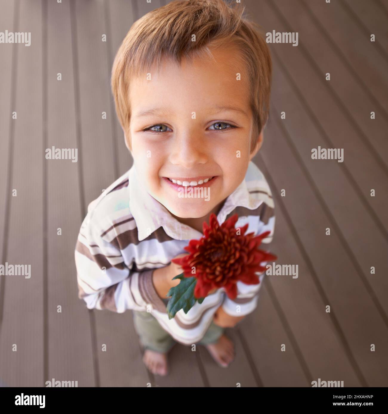 Ich habe eine Überraschung bekommen Aufnahme eines niedlichen kleinen Jungen mit einer roten Blume. Stockfoto