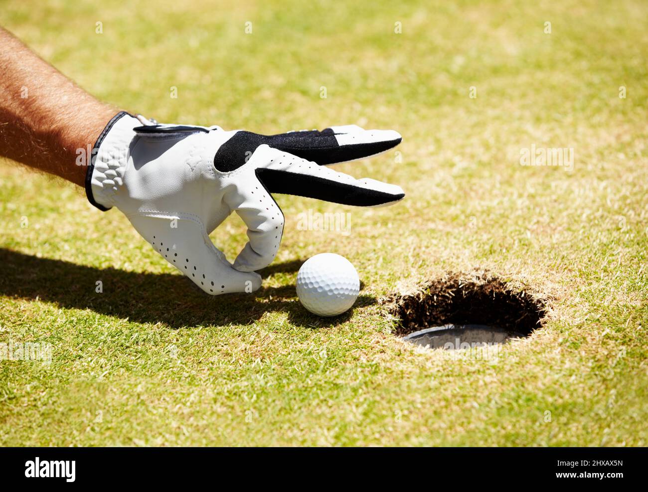 Nur ein kleiner Schub. Ein Golfer, der einen Ball in das Loch schleudern wird. Stockfoto