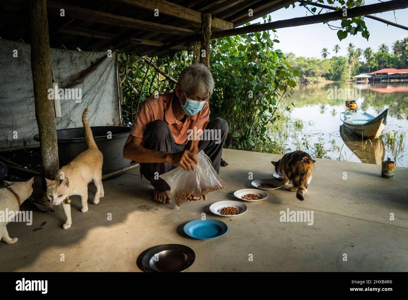 Surat Thani, Thailand. 11. März 2022. Ein Fischer füttert seine Rettungskatzen mit einem Snack, bevor er sie zum Angeln am TAPI-Fluss in Surat Thani nimmt. In Surat Thani, Thailand, nimmt ein einheimischer Fischer seine Rettungskatzen, die in den Mangroven entlang des TAPI-Flusses fischen. (Foto von Matt Hunt/SOPA Images/Sipa USA) Quelle: SIPA USA/Alamy Live News Stockfoto