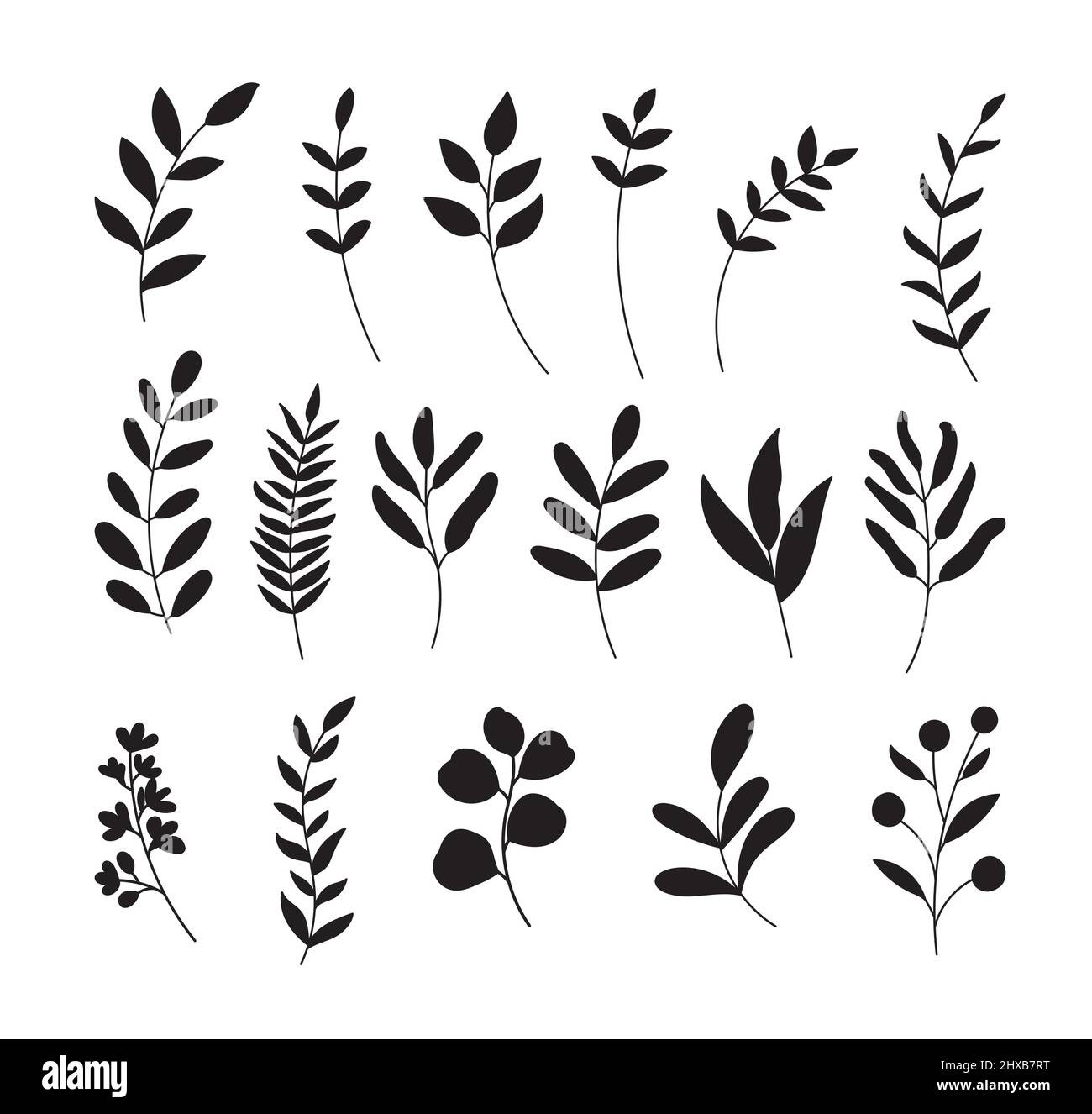 Set mit Blattsilhouette. Handgezeichnet mit Blättern und Blumen auf weißem Hintergrund. Stock Vektor