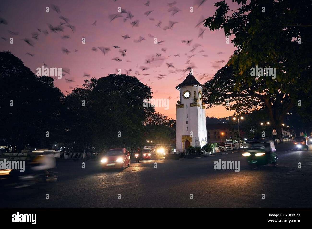 Vogelschar am Himmel über der Stadt in der Abenddämmerung. Verkehr rund um die Uhr Turm auf der Straße in Kandy, Sri Lanka. Stockfoto