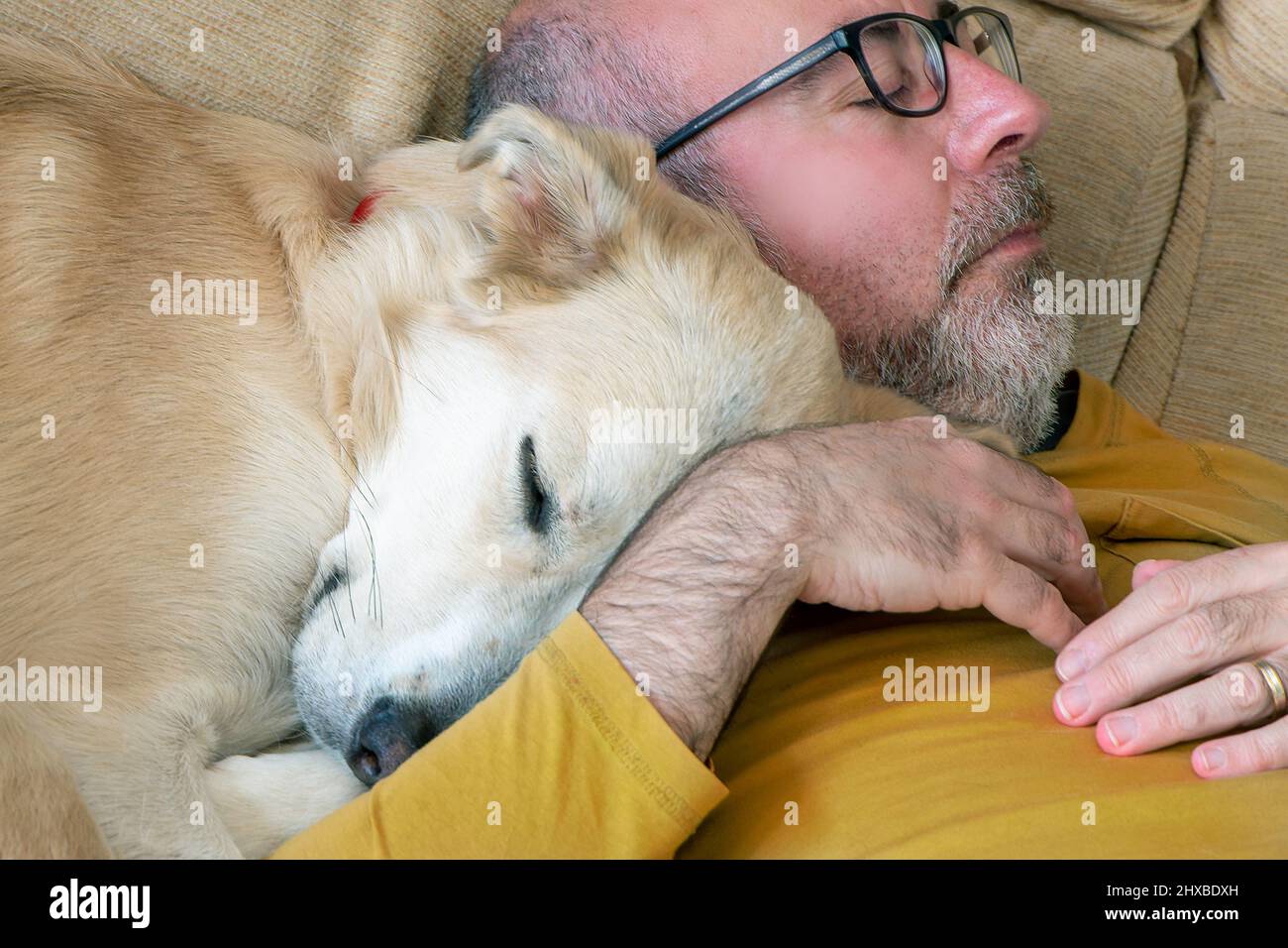 Mann und hund schlafen Fotos und Bildmaterial in hoher Auflösung Alamy