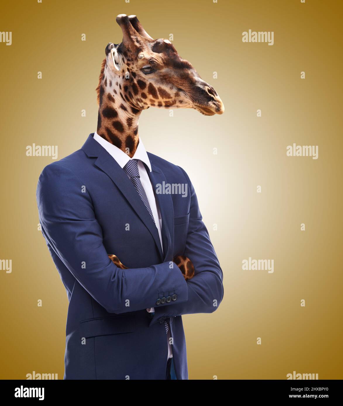 Willkommen im Unternehmensdschungel. Konzeptuelles Bild von Tierköpfen auf Geschäftsleute. Stockfoto