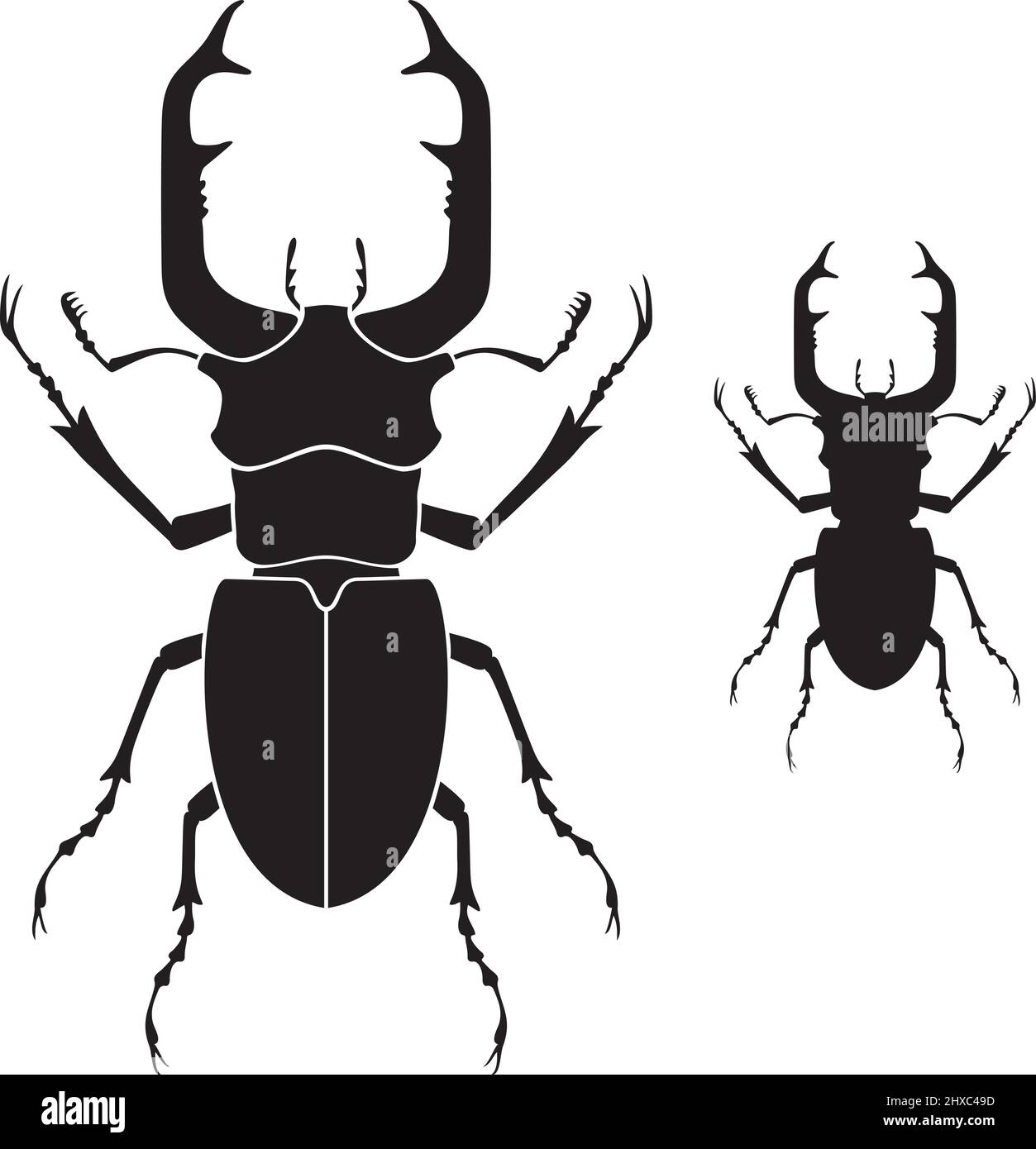 Hirschkäfer Bug schwarz-weiß Vektor-Illustration Stock Vektor