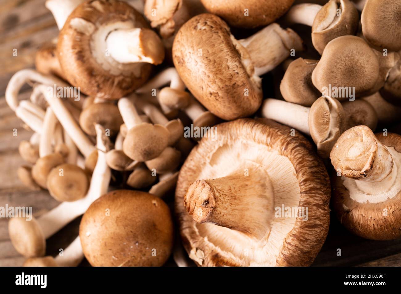 Nahaufnahme von frischen braunen Pilzen und kleinen Pilzen auf dem Tisch Stockfoto