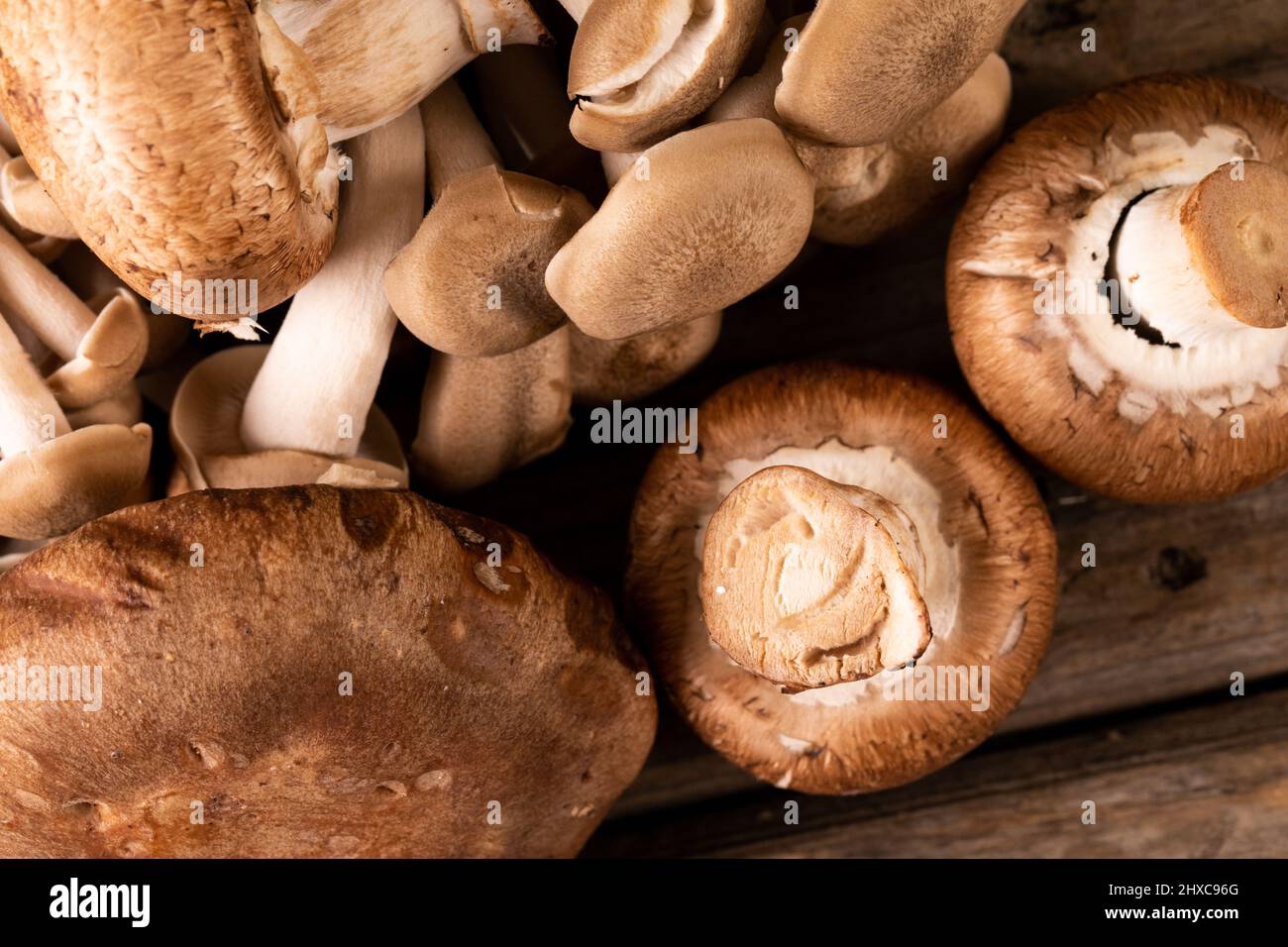 Nahaufnahme von frischen braunen Pilzen auf dem Tisch Stockfoto