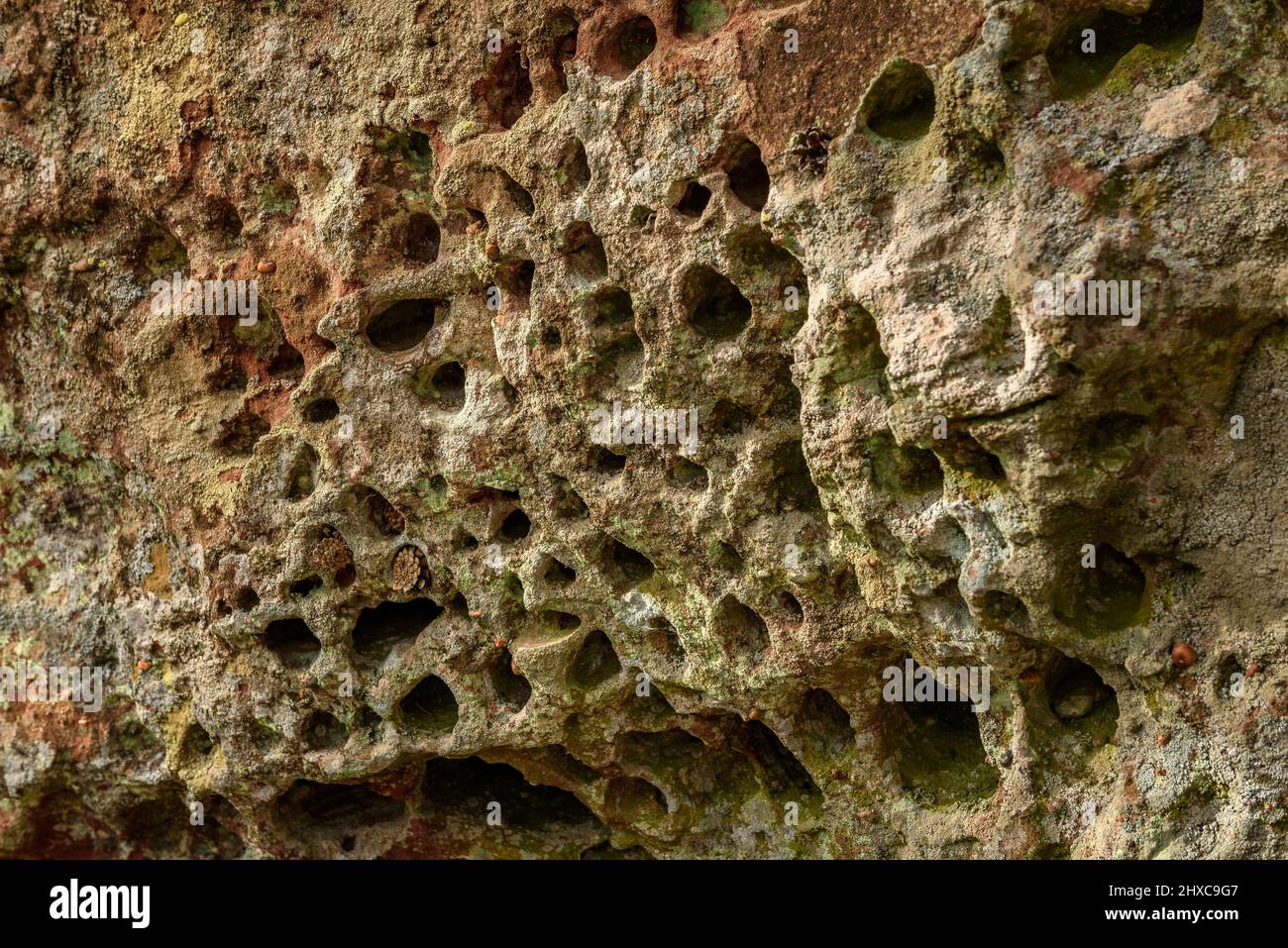 Erosion im Stein in der Nähe des Gipfels Roca del Gríngol, in den Prades-Bergen (Tarragona, Katalonien, Spanien) ESP: Erosión en la piedra cerca de Prades Stockfoto