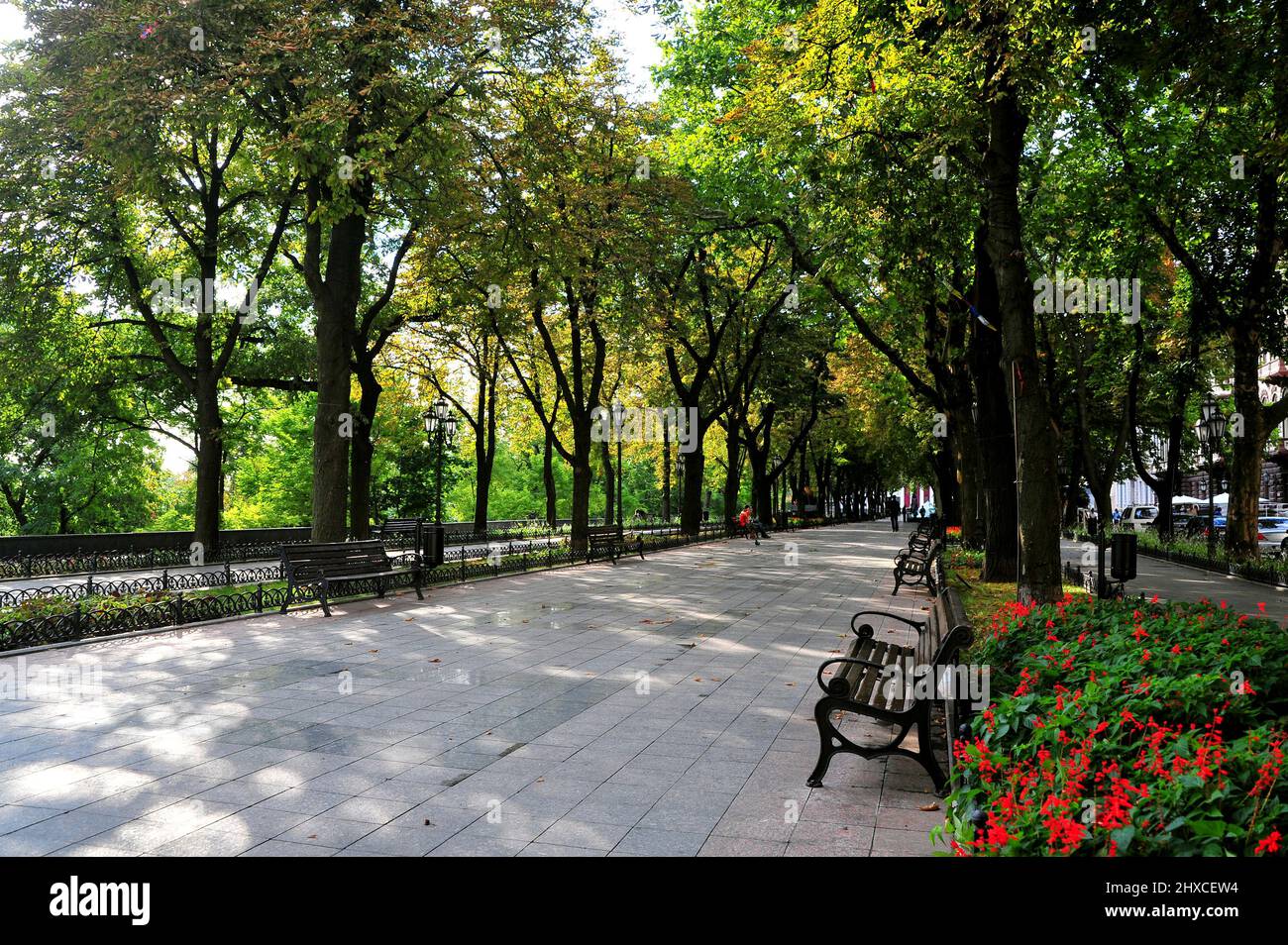 Odessa, il Boulevard Prymorskyi, con i suoi platani e giardini, tra i più eleganti della città ucraina Stockfoto