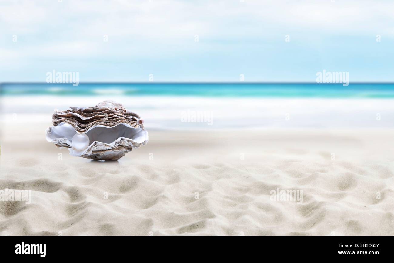 Auster mit Perle am Strand mit Meer im Hintergrund Stockfoto