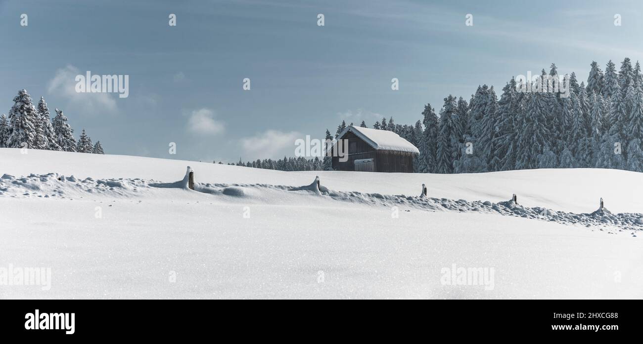 Einsame schneebedeckte Hütte am Waldrand im Winter Stockfoto