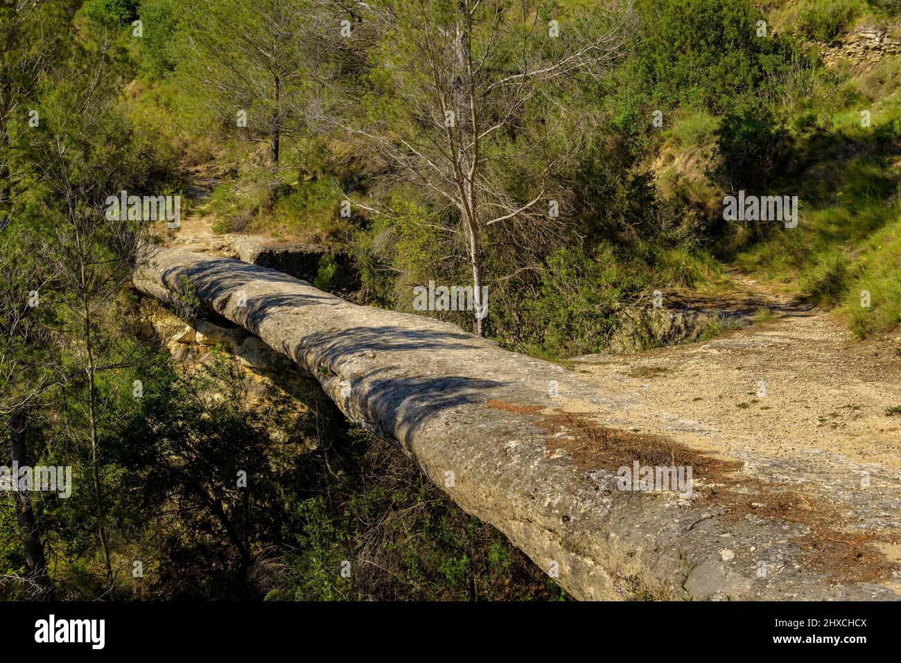 Natürliche Felsbrücke von Pont de les Arnaules, im Geopark von Central Catalonia (Barcelona, Katalonien, Spanien) ESP: Geoparque de la Cataluña Central Stockfoto