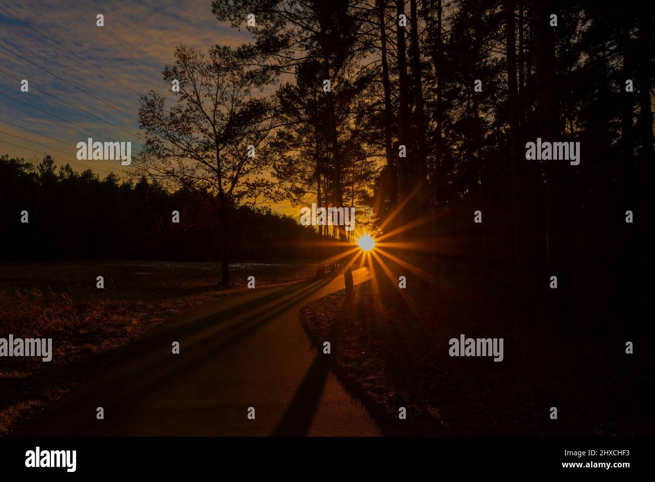 Kurz vor Sonnenuntergang auf einem Radweg, lange Schatten von den Bäumen, Sonnenstrahlen scheinen durch die Bäume Stockfoto