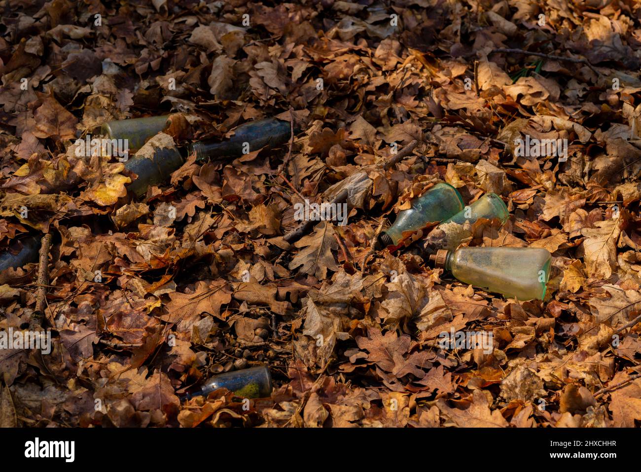 Deutschland, Luckenwalde, 20. April 2021, illegal entsorgte Glasflaschen im Wald, Verschmutzung und Waldbrandgefahr Stockfoto