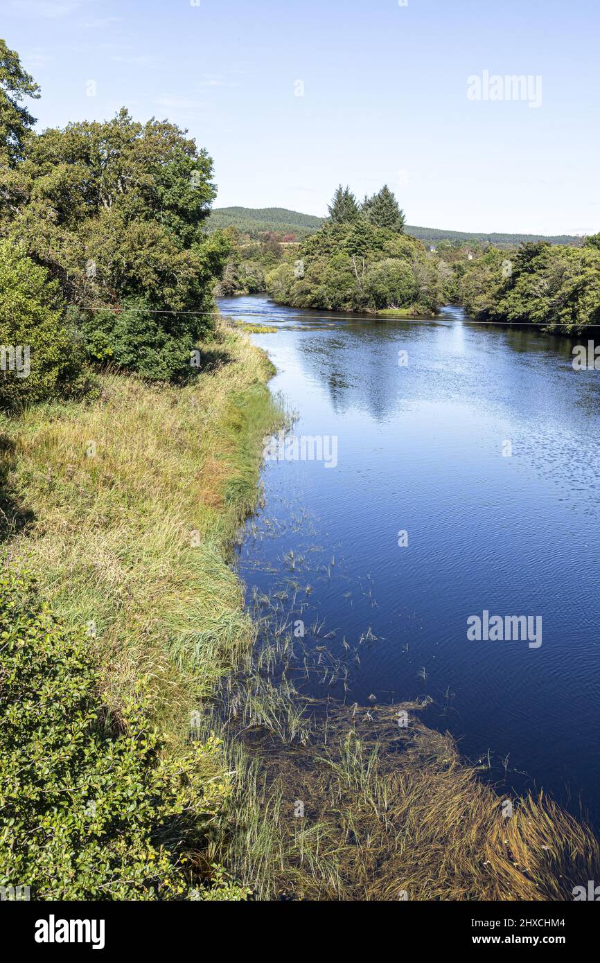 Der berühmte Fluss Spey im Boot von Garten Highland, Schottland, Großbritannien. Stockfoto