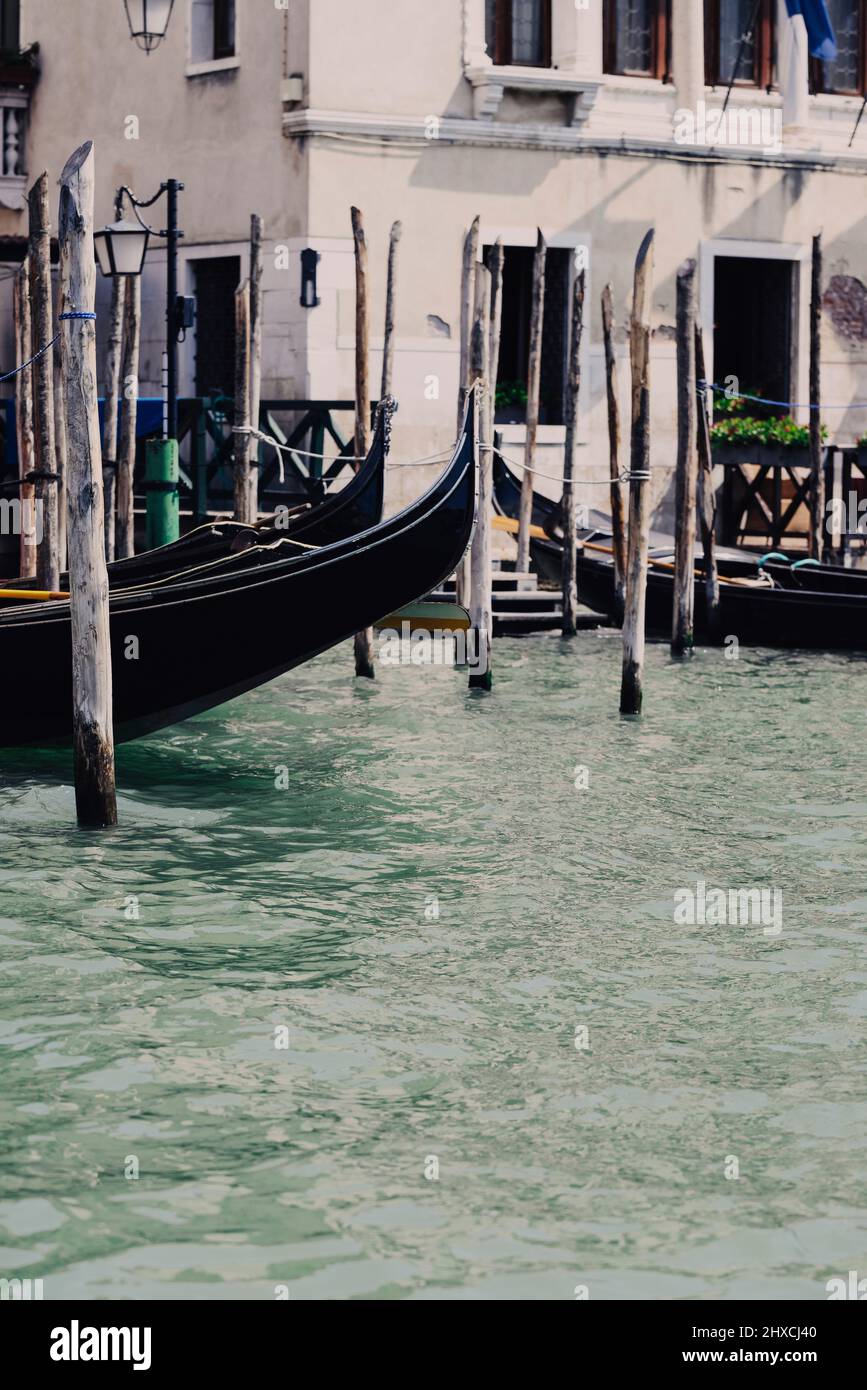 Venezianische Gondeln an der Anlegestelle am Canale Grande in Venedig, Italien Stockfoto