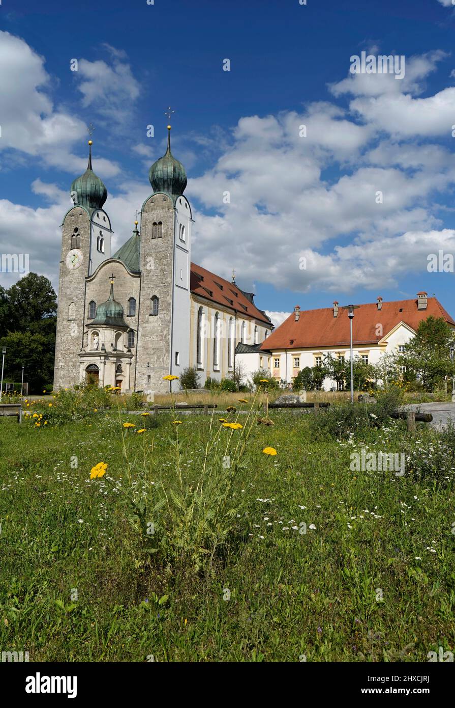 Deutschland, Bayern, Oberbayern, Chiemgau, Altenmarkt an der Alz, Kloster Baumburg, St. Margaretenkloster-Kirche Stockfoto