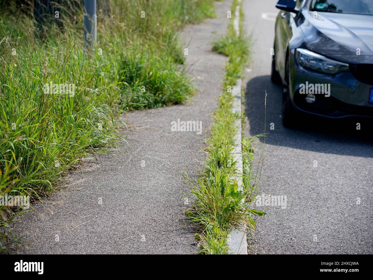 Deutschland, Bayern, Oberbayern, Straße, Bürgersteig, Einfassung, Unkraut wächst durch Teeroberfläche, geparktes Auto Stockfoto