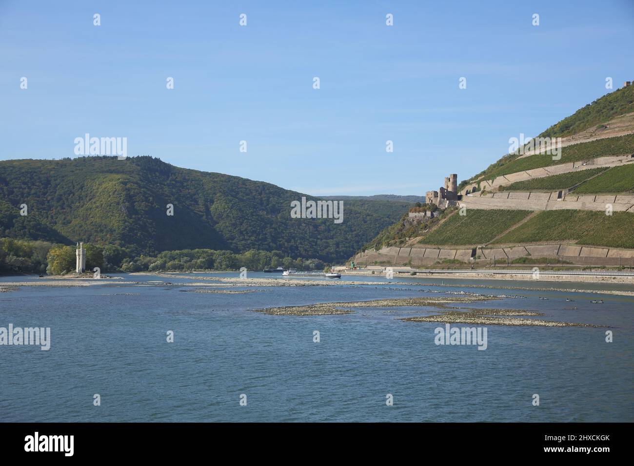 Mausturm und Ehrenfels Schloss am Binger Loch am Niederrhein, Rheinland-Pfalz, Deutschland Stockfoto