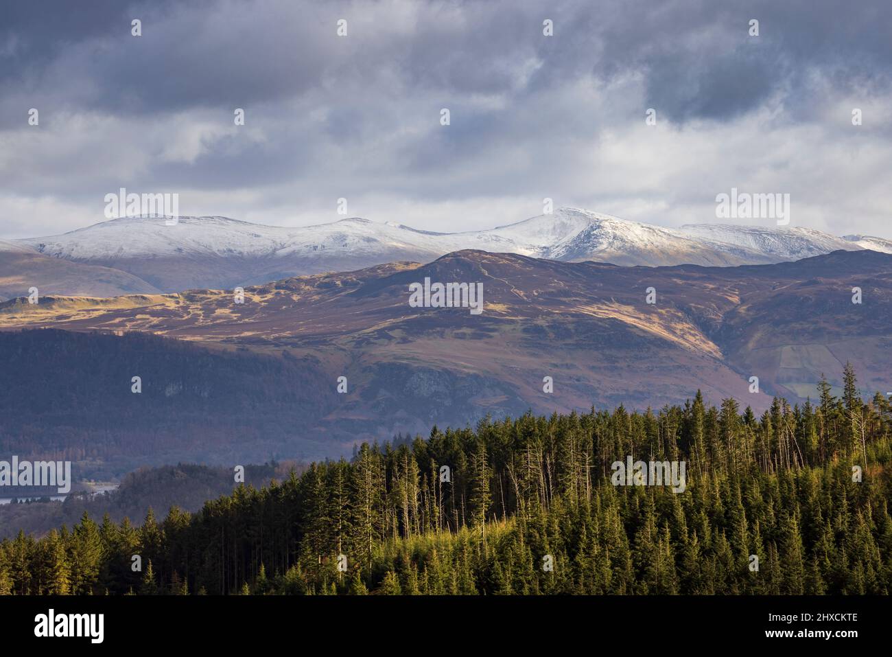 Schneebedeckte Helvellyn und High Seat aus dem Whinlatter Forest, Lake District, England Stockfoto