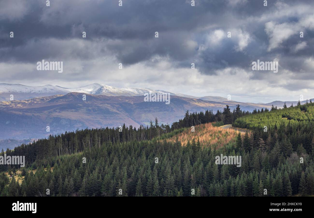 Schneebedeckte Helvellyn und High Seat aus dem Whinlatter Forest, Lake District, England Stockfoto