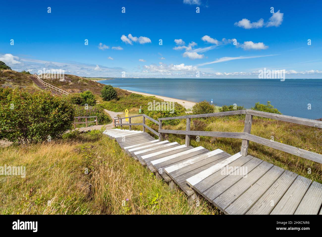 Boardwalk in Braderup Heide am Wattenmeer, Braderup, Sylt Island, Schleswig-Holstein, Deutschland Stockfoto